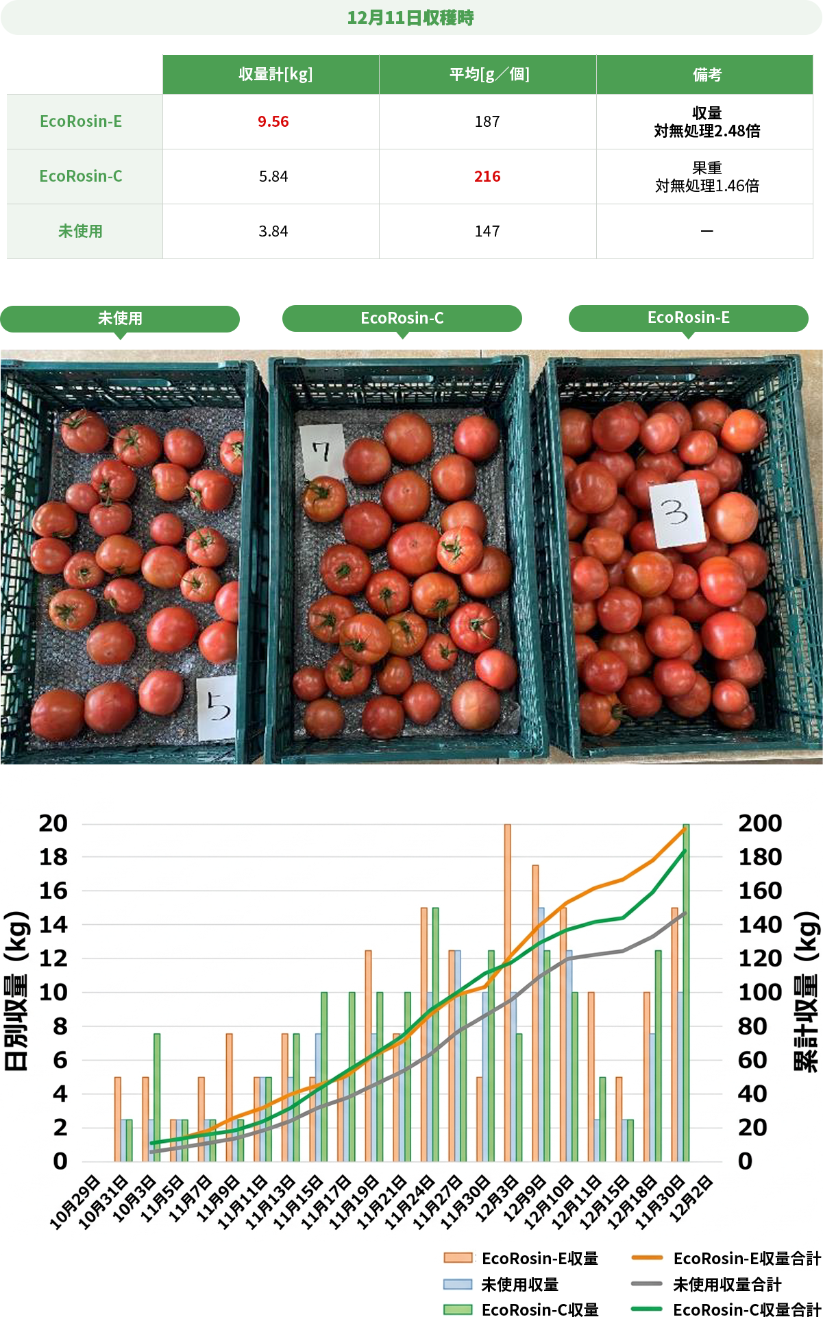 トマト試験結果