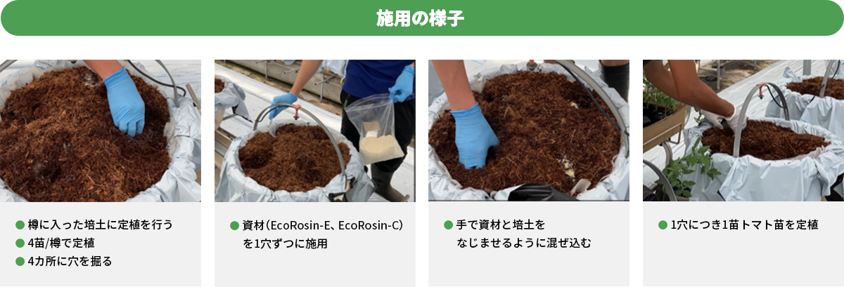 トマト試験結果