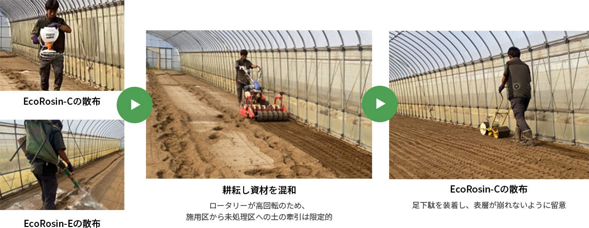 コマツナ試験結果