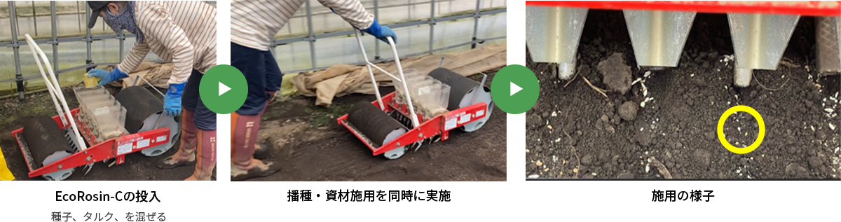 ベビーリーフ（コマツナ）試験結果