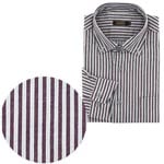 �ʵ��ӥ��ȥ饤�ץ���ġ��磻���å�