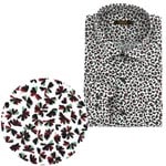 �ե�������ȥ�å����ץ��ȥ���ġ��ܥ�ɡ�