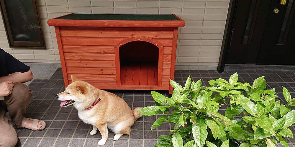 【玄関先】片屋根木製犬舎の設置イメージ2