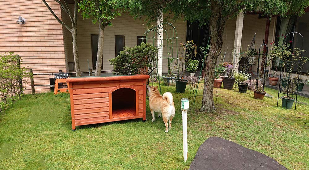 【お庭】片屋根木製犬舎の設置イメージ1