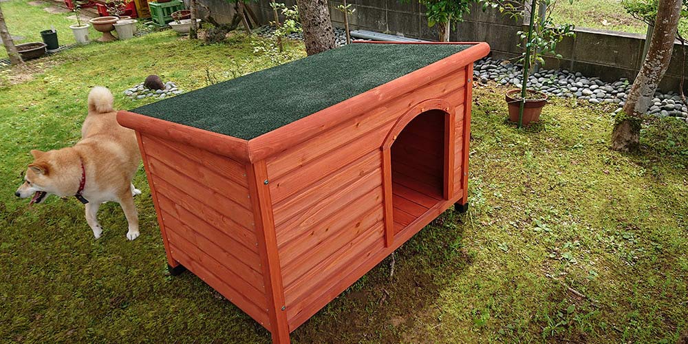 【お庭】片屋根木製犬舎の設置イメージ2