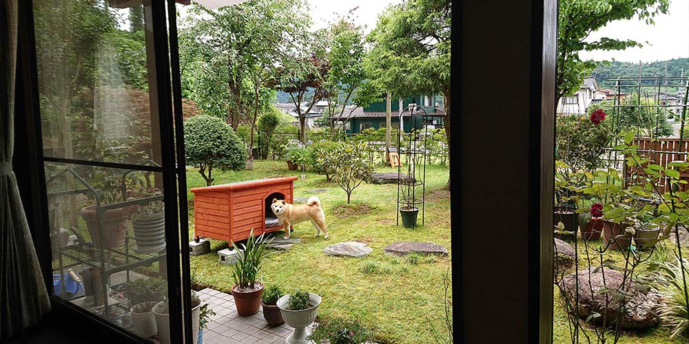 【お庭】片屋根木製犬舎の設置イメージ3
