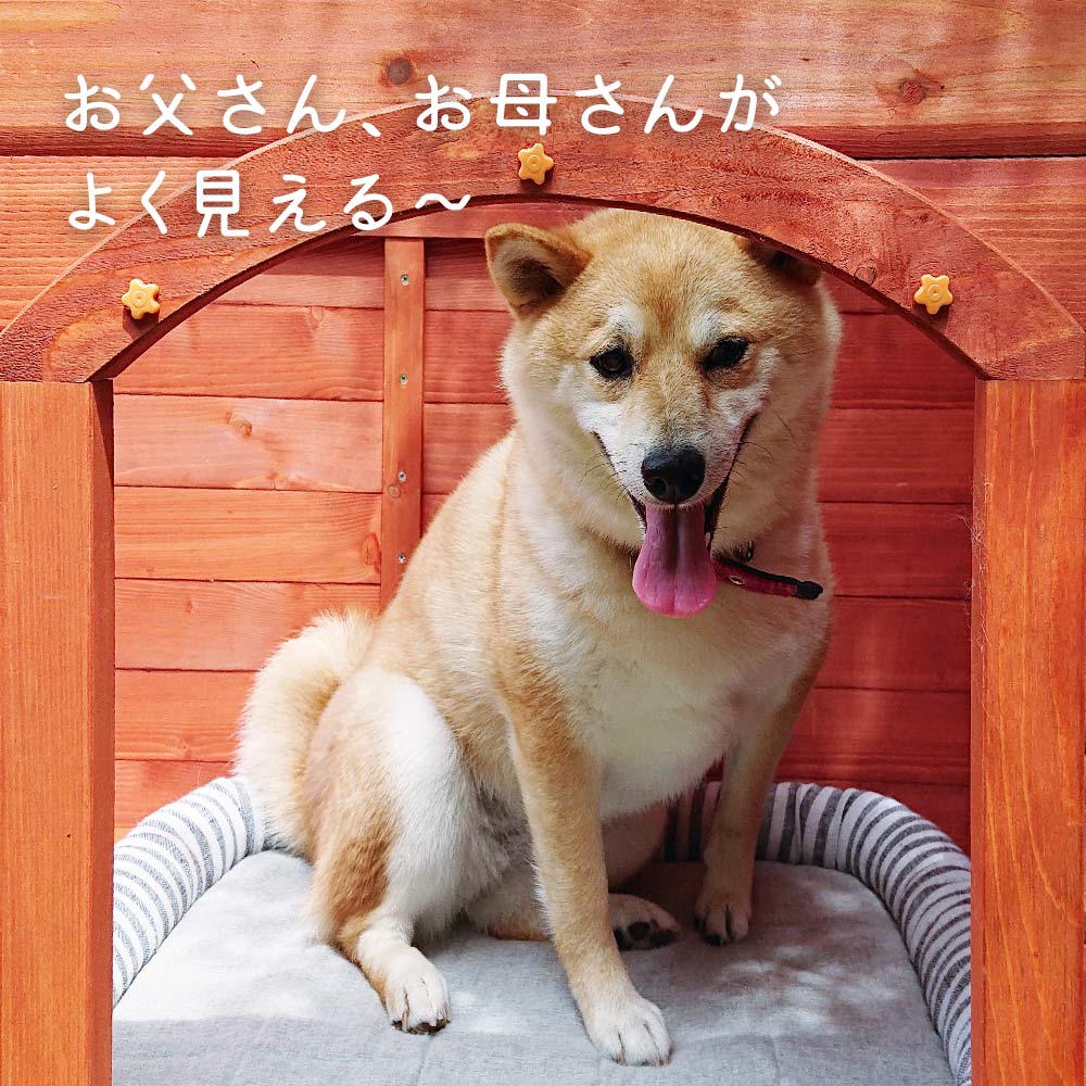 【お庭】片屋根木製犬舎の設置イメージ5