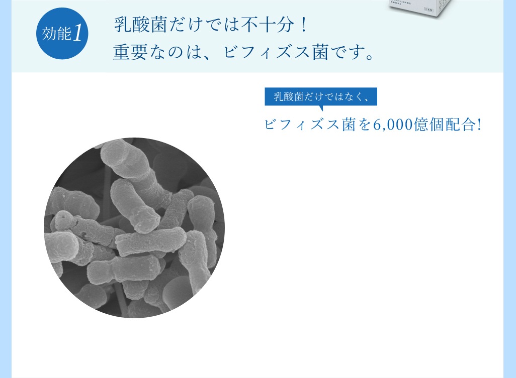 効用1 「乳酸菌だけ」ではだめ。腸内環境をトータルサポート