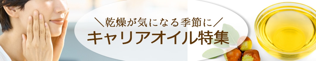 キャリアオイル特集