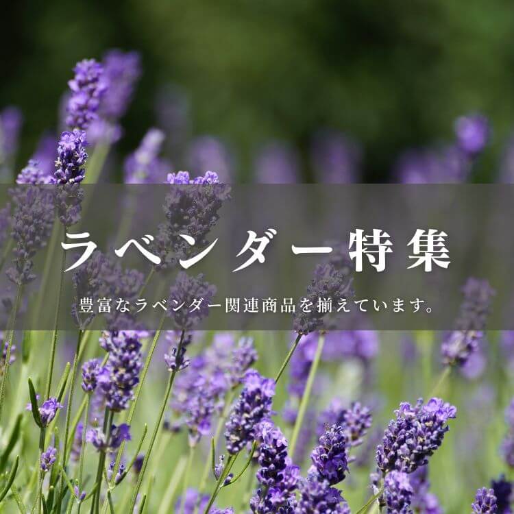 ラベンダーアロマオイル特集
