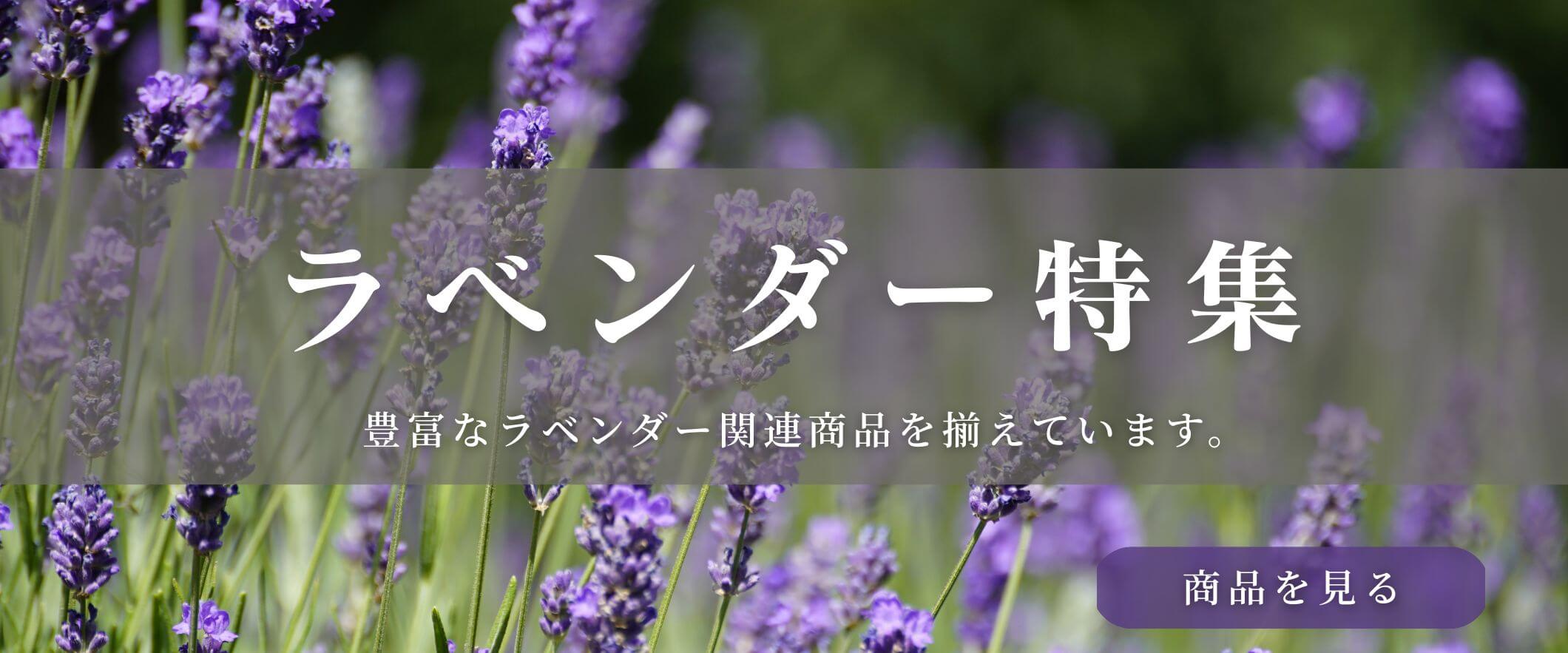 ラベンダー特集