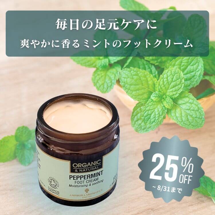 8月キャンペーン