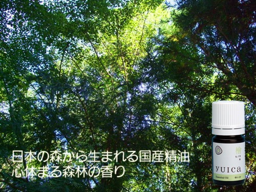 日本の森から　ひのき檜精油