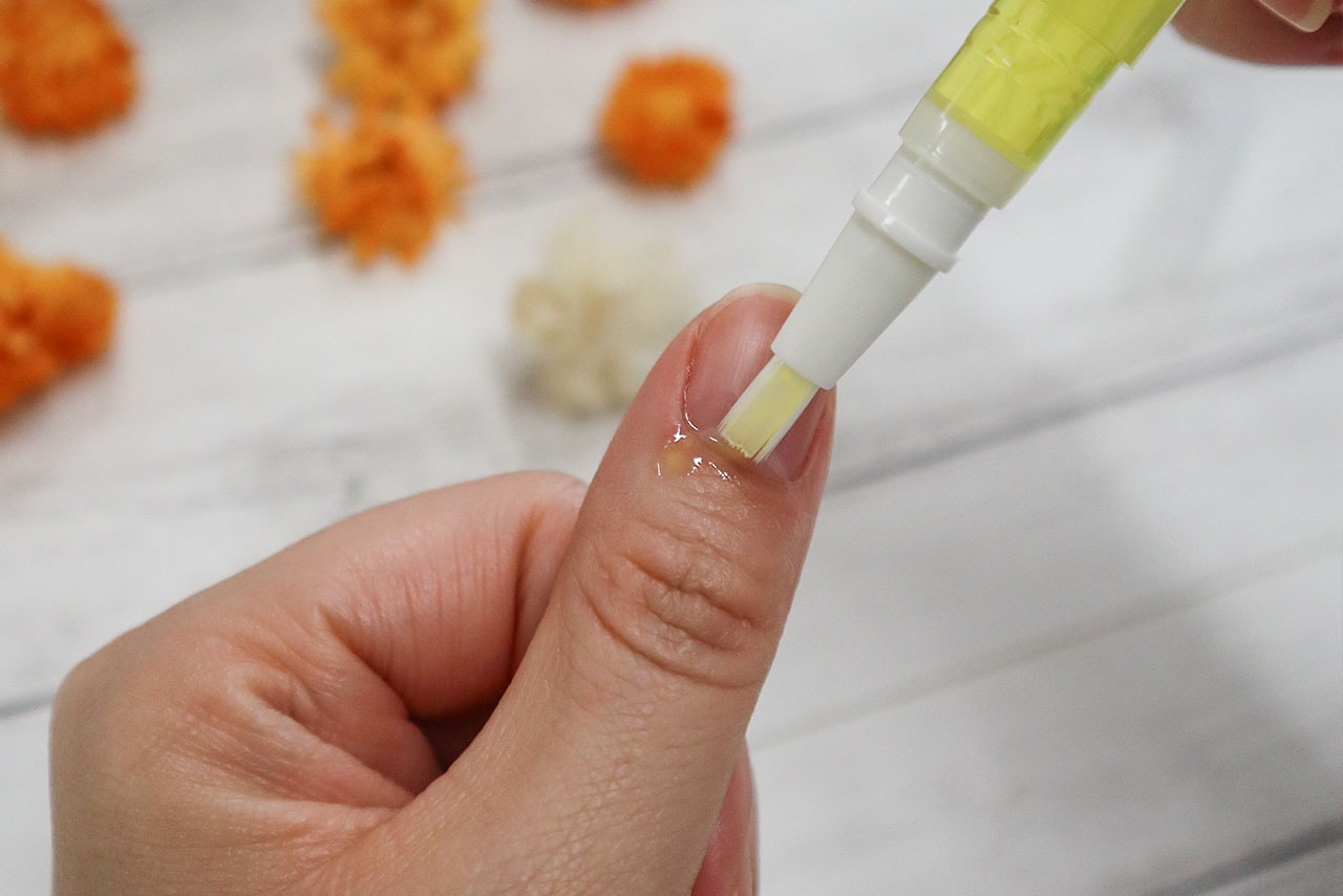 �ͥ��륱��������κ����