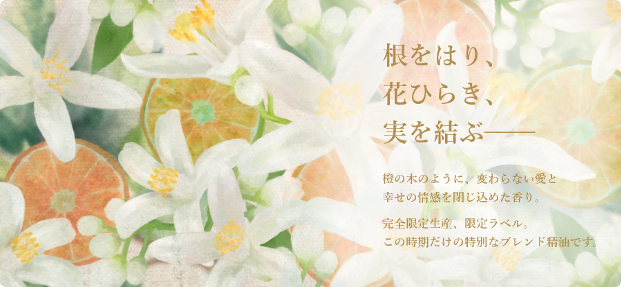 ����Ϥꡢ�֤Ҥ餭���¤��֨���