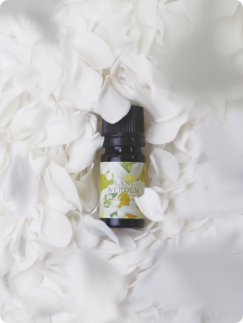 �Ť�������<br>
          �򤤲֤Ӥ餬�դ��ȤҤ餯��