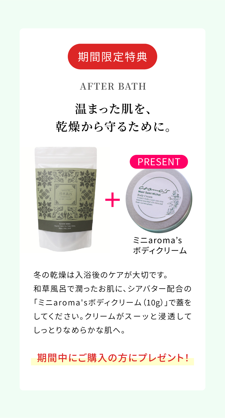 �ץ쥼����դ�