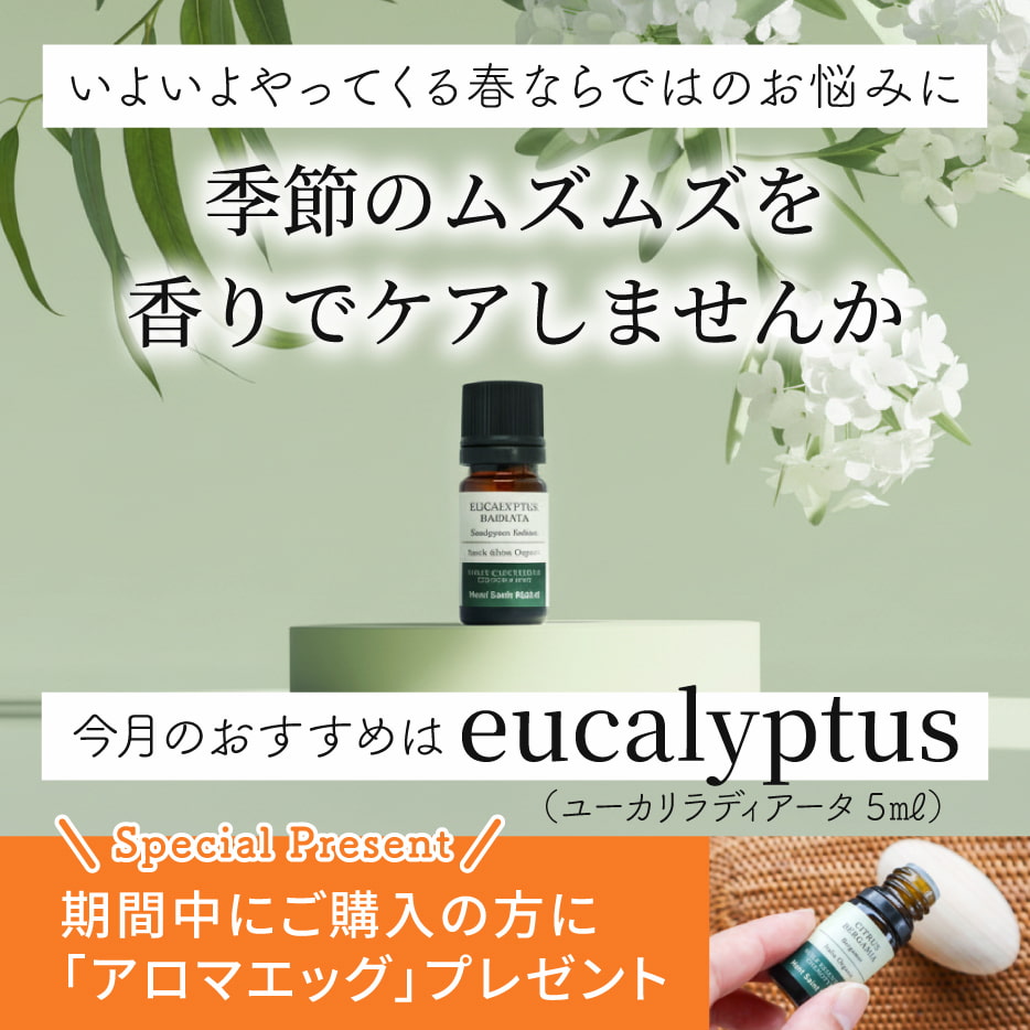 �桼�����ǥ�������5mL