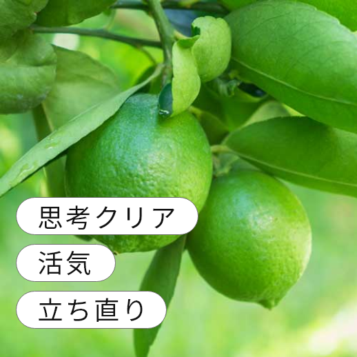 �饤��