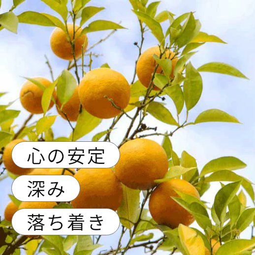 �ӥ��������