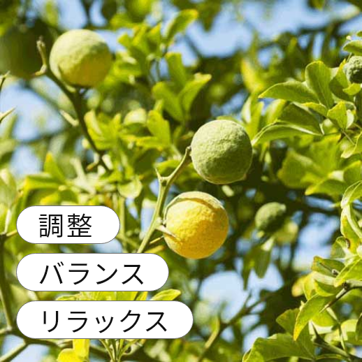 �ޥ�����