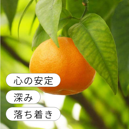 �٥륬��å�