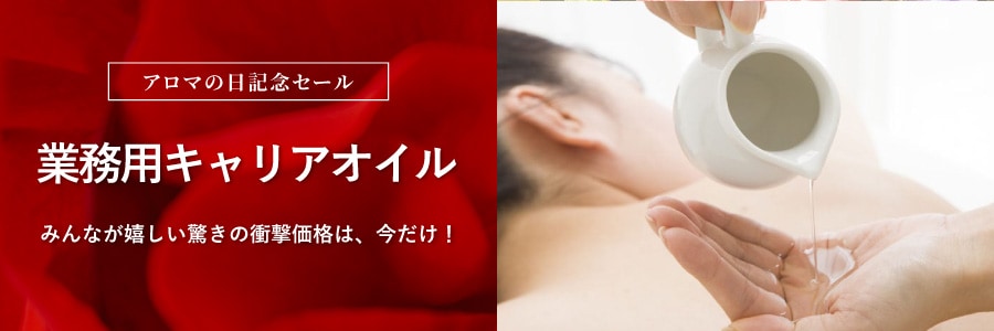 ��̳�ѥ���ꥢ������