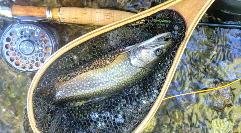テンカラで釣れたヤマメ