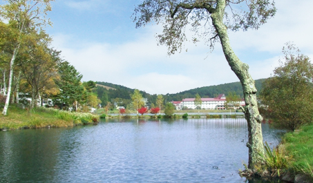 湖