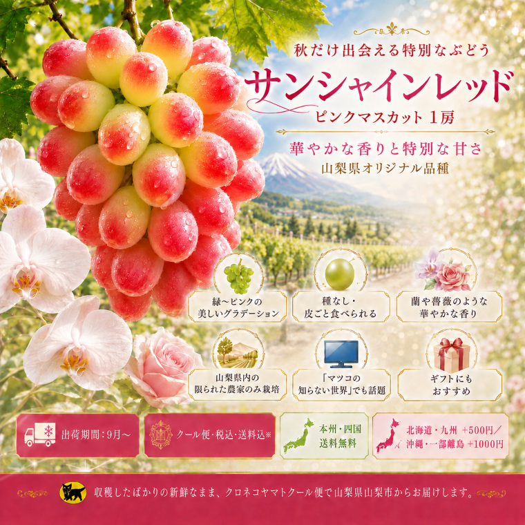 サンシャインレッド通販【送料無料】☆山梨県山梨市から、山梨のギフト