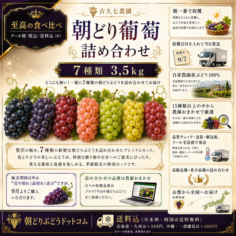 ぶどうの通販 ぶどう王国山梨から高級ぶどうを通信販売 彩り葡萄 8