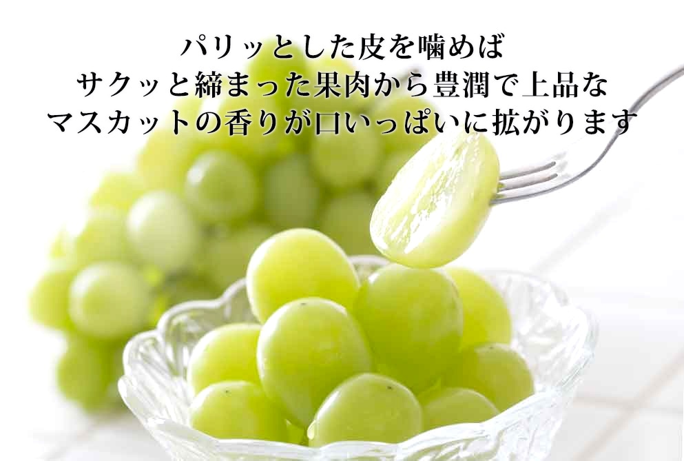 シャインマスカット【送料無料】山梨から最高級ぶどうシャイン