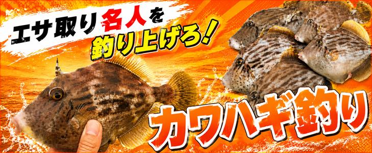 カワハギ