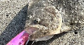 海でルアー釣り