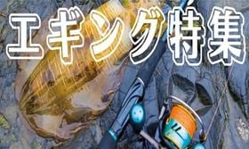 エギング