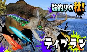 ティップラン