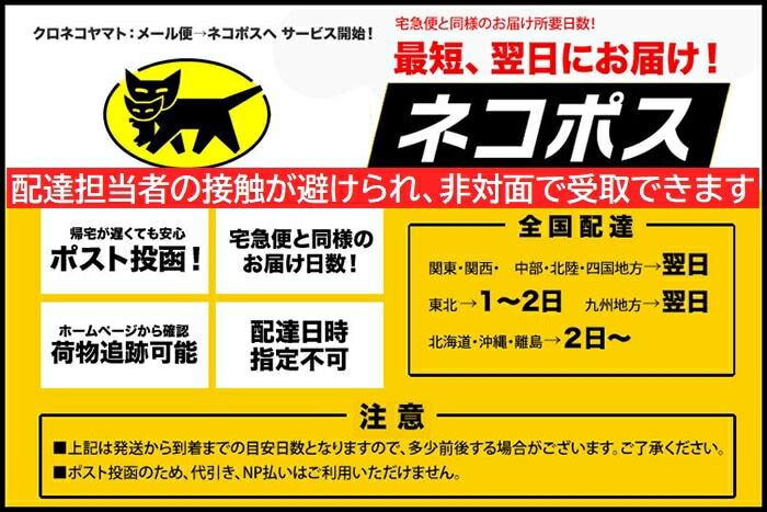 ネコポス便 1000円ポッキリ 送料無料 】 お試しコーヒー バリューアイスコーヒー 200g 100gx2袋 エスプレッソブレンド | ネコポス便  送料無料 | ひと味違うコーヒー 旭珈琲 ASAHICOFFEE