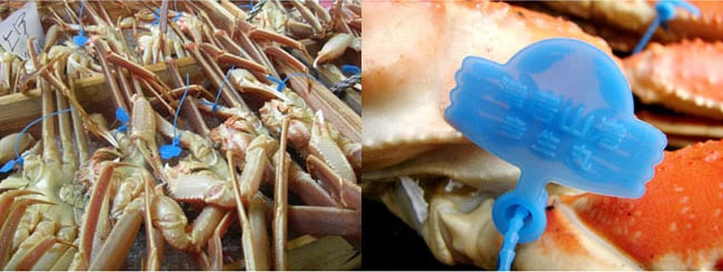 �ŵﻳ���ˡ��Ŀ��Υ�����