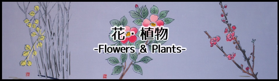 花や植物柄の手ぬぐい