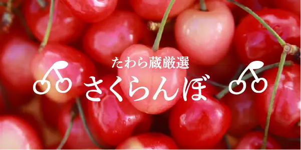 さくらんぼ