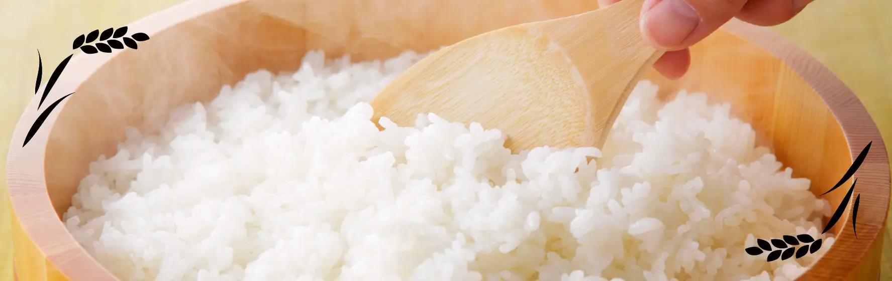 お米のたわら蔵｜令和7年産