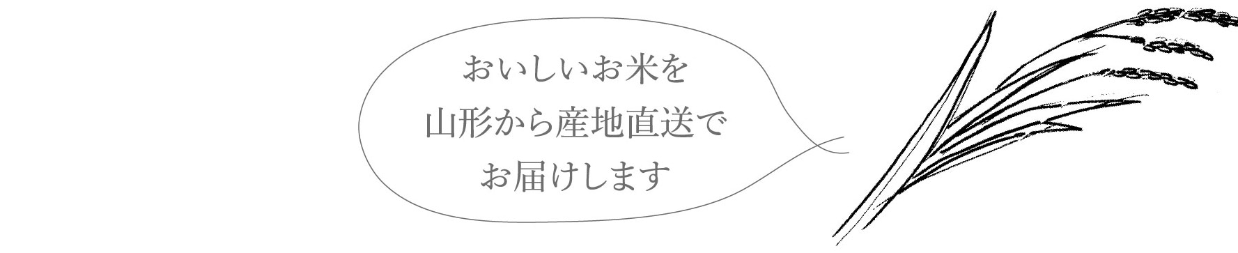 おいしいお米を山形から産地直送でお届けします