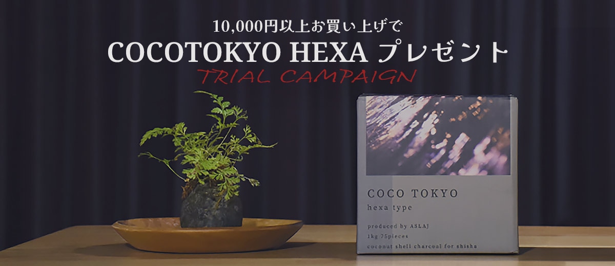 10,000円のお買い物でhexaプレゼント