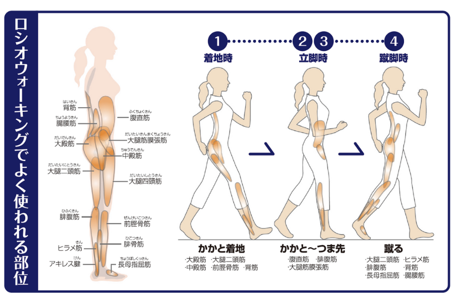 よく使われる部位