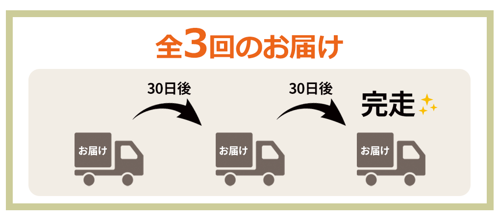 かむこん定期コース
