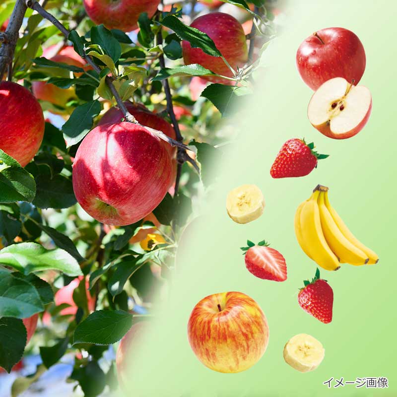 小さなお子様にも安心してお召し上がりいただけます