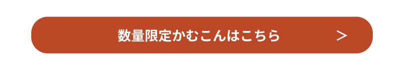 数量限定かむこんはこちら