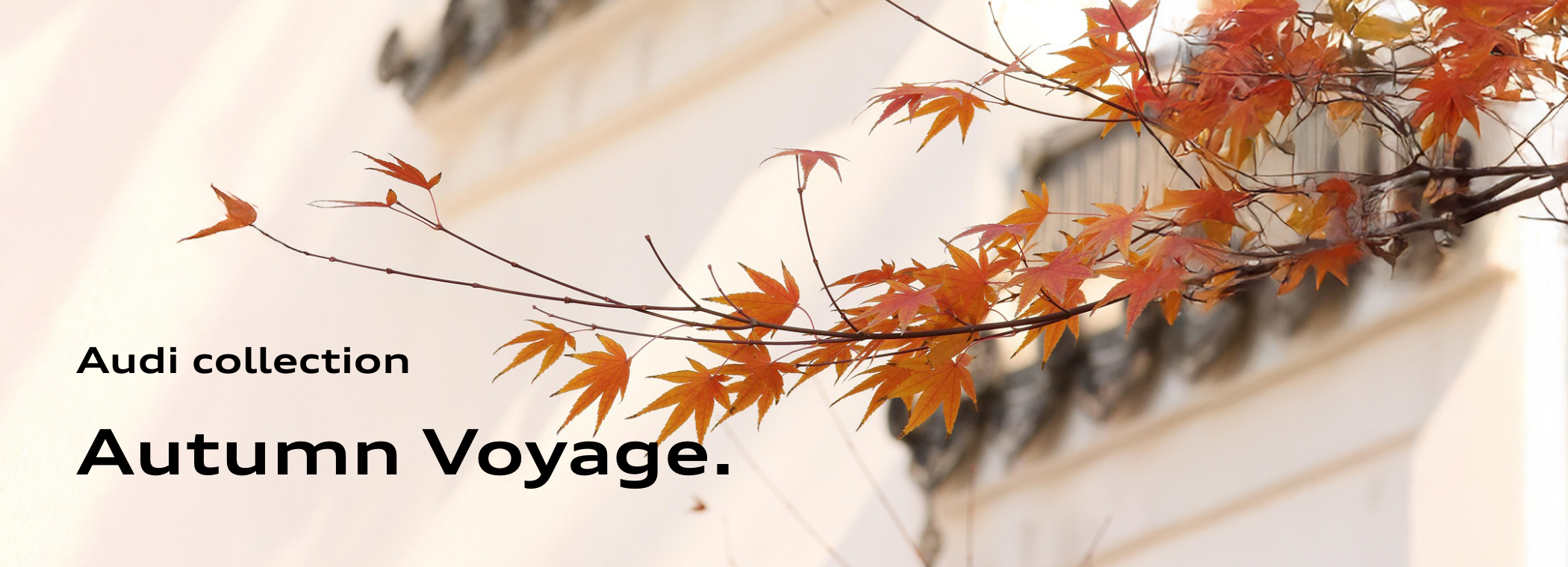 Audi collection Autumn Voyage.