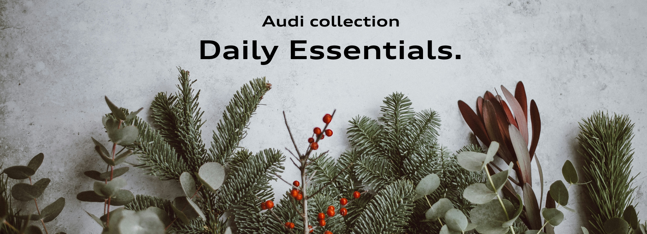 Audi collection Daily Essentials.