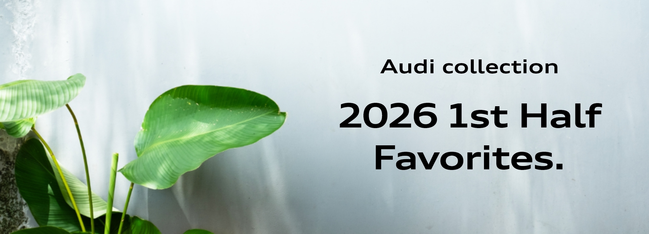 Audi collection 2026 1st Half Favorites.